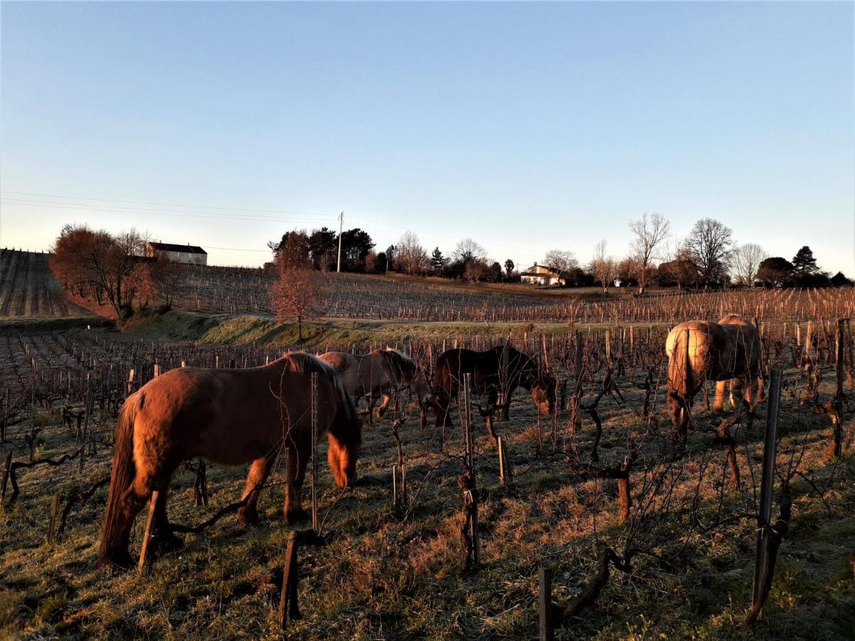 Chateau De La Grave Bourg-sur-Gironde Ngoại thất bức ảnh