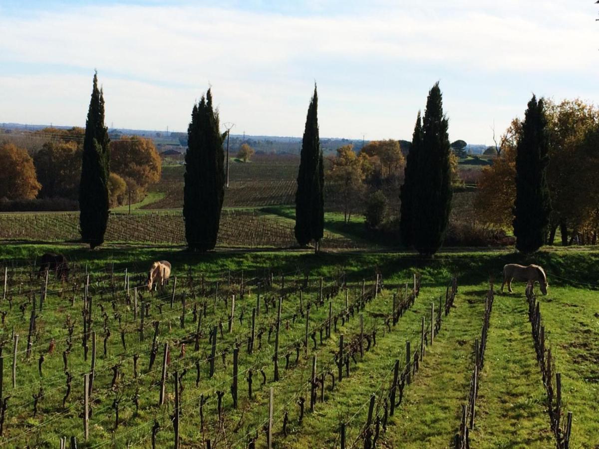 Chateau De La Grave Bourg-sur-Gironde Ngoại thất bức ảnh